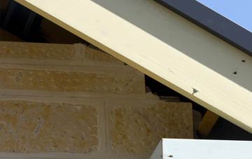 soffit repair Selston Common